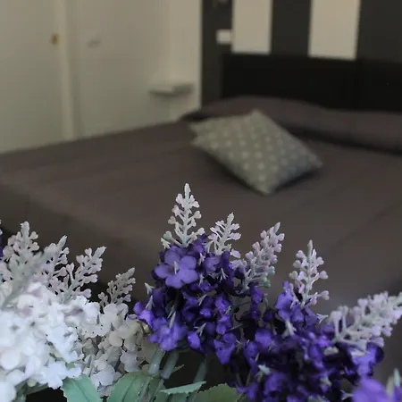 Bed & Breakfast Panormos *